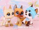 3pcs Pet Shop Lps Great Dane Dog Set  244 577 1647 With Accessories Kids Gift