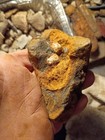 Civil War Schenkl Base With Exposed Case Shot