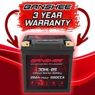Reliable Ytx30l-bs Lifepo4 Battery