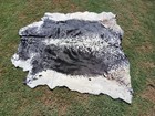 Genuine Cowhide Rug 5x6 Ft   Black   White Speckled   Large Natural Leather Area