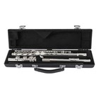 Armstrong Afl201 Closed-hole Student Flute