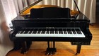 Yamaha Disklavier Baby Grand - High-gloss Black   5598913