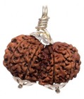 Natural Gauri Shankar Rudraksha Silver Cap Pendent Lab Certified Nepal Origin