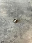 Hoorsenbuhs Necklace Charm Signet Ring