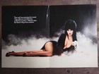 Elvira Mistress Of The Dark  1988  Sexy Cassandra Peterson Pressbook Poster  899