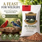 Virginia Peanuts 45lb Bulk Bag Shelled Raw Unsalted For Squirrels  Birds  Deer