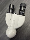Carl Zeiss West Germany Binocular Microscope Head W  Wf10x 20 Eyepieces Used