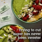 Stevia In The Raw Zero Calorie Sweetener  Sugar Substitute Packets  Vega  125 Co