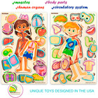 Wooden Puzzles For Toddlers Games Our Body Parts