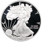 2019-w Proof American Silver Eagle Pcgs Pr70dcam Scuffy Holder