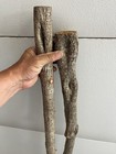 Diamond Willow Cane  2      Bogo  Wood Carving  Walking Stick  Twisted  Spalted