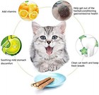 10 Pcs Catnip Silvervine Sticks Teeth Cleaning