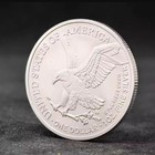 Lot Of 5 2026 1 Oz  999 Fine Silver American Eagle  1 Coin Bu