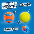 Chuckit  Ultra Ball Dog Toy Medium2 5  Bouncy Fetch For Dogs 20-60 Lbs Pack Of 4