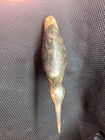 Vintage Folk Art Hand Carved And Painted Wood Shore Bird Brass Stand