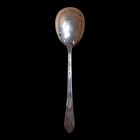 1847 Rogers Bros Is Vintage Silverplate Place Spoon Floral Pattern
