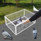 Pigeon Trap Cage  Pigeon Cage  Portable Escape-proof Pigeon Trap Cage