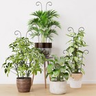 4pcs 23 6  Expandable Metal Plant Trellis Indoor Outdoor Climbing Plants