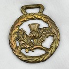 Brass Horse Medallion Vintage English Thistle Scottish Flower Laurel Harness