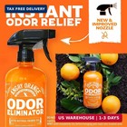 Angry Orange Pet Odor Eliminator For Dog And Cat Urine  Carpet Stains  And Stron