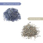 Dried Lavender Flower Buds 10 Ounces Bag Lvon2
