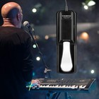 Sustain Pedal Universal With Polarity Switch By Wegrower For Keyboards