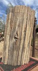       rr        Arizona Petrified Wood Log  16    Detailed Woodworthia W burn Scar      