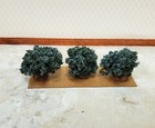 Dollhouse Sage Bush Flowering Shrub X3 1 12 Scale Miniature Garden