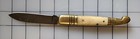Pocket Knife   Domestic Cattle Bone Handle Brass Bolster