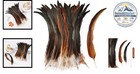 Natural Rooster Tail Feathers 50 Pcs 10-12 In Long For Diy Crafts Costumes