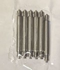 6 Pc 20mm 22mm 24mm Stainless 2 5mm Fat Spring Bar Doule-fringe Type 0 8mm Tip