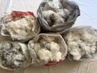 5 Fleeces Exc Lilac Black Handspinning Eng Angora Fiber Spinning Approx 13 Ounce