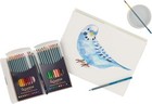 Watercolor Pencil Set Of 24 - Professional Artist Quality Soft Core Leads
