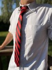  Men s Striped Tie Standard Length Red And Black