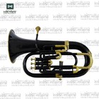Euphonium 4 Valve Brass Instrument Bb Euphonium With Mouthpiece   Case 