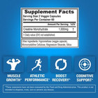Creatine Monohydrate Pills 120ct   Nutrition Muscle Builder   Capsules 1000mg