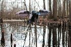 Elite Series Spinning Wing Duck Motion Decoys   Works For Teals  Doves  Ducks