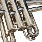 Yamaha Custom Yamaha Flugelhorn Yfh-8310st
