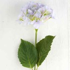 Tall Blue And Purple Hydrangea Floral Stem Perfect For Wedding Decor