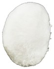 Bunny Tail Playboy Rabbit Halloween Costume Accessory Large White