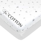 American Baby Company 2 Pack Printed 100  Natural Cotton Jersey Knit Fitted P   