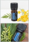 D  terra Deep Blue 5ml - New Essential Oil Blend