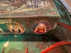  arkham Horror Lcg  Return To The Dunwich Legacy - English - Sealed