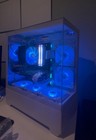 Intel Core I7 9700k   1080ti Gaming Pc