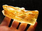 Big  Translucent Polished Fossil Amber Termites And A Beetle Colombia 69 4gr
