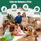 Rodent Mouse Repellent 12pack  Peppermint Oil Mouse Balls For Mice  Indoor