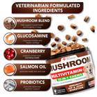  2 Pack  Mushroom For Dogs 340 Chews Turkey Tail Mushroom Supplement For