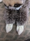12 5   Three Toed Sloth Plush Toy Soft Stuffed Animal Doll Lifelike Sloth Plush