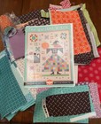 The Quilted Witch Quilt Kit  Riley Blake By Lori Holt Of Bee In My Bonnet  read 