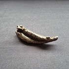 Netsuke Style Okimono - Bronze Japanese Frog   Spider On A Curled Leaf